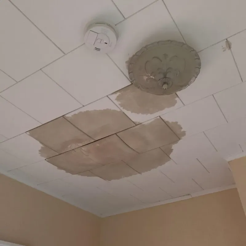 Ceiling Water Damage Repair in Hull, MA