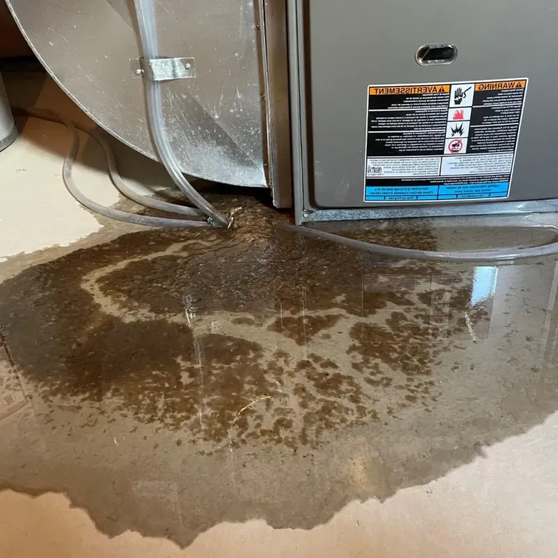 Pipe Burst and Leak Restoration in Hull, MA