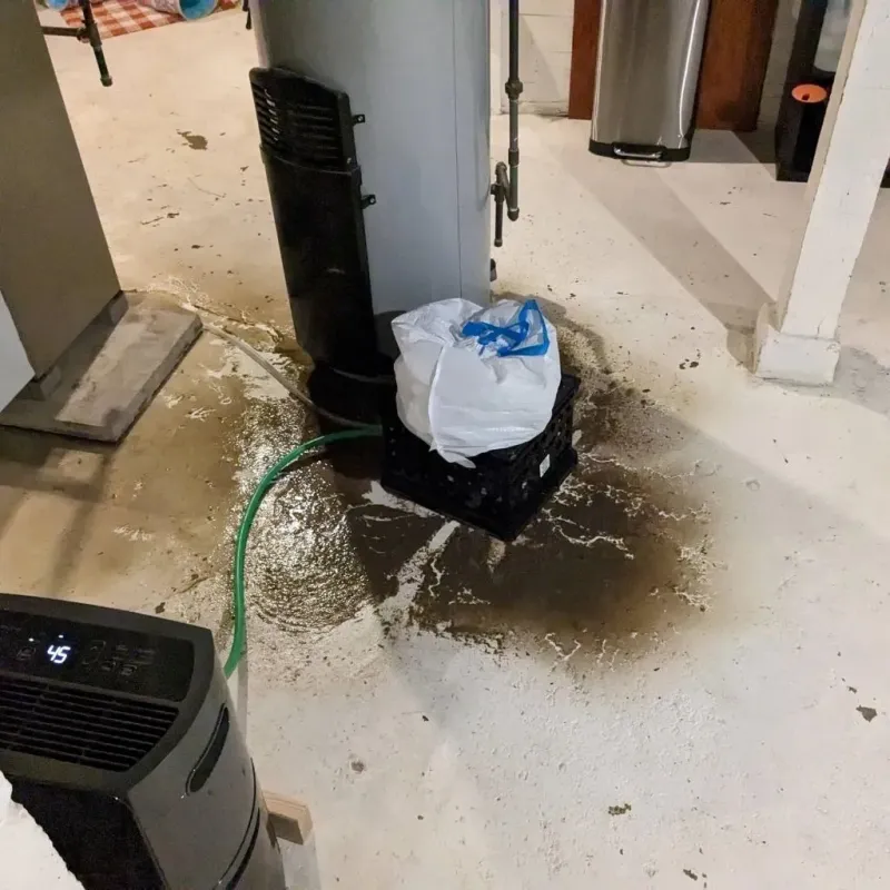 Sewage Backup Cleanup Service in Hull, MA